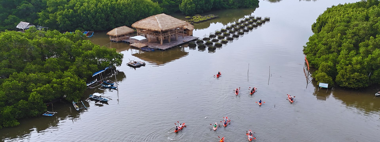 Experience Glass Bottom Boat Bali: How a Mangrove Cruise Complements Your Snorkeling Adventure-1