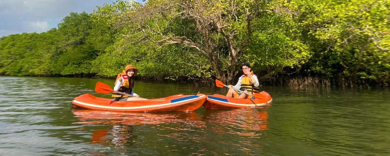 Cover image for Romantic Outdoor Experiences for Couples: Bali Mangrove Canoe Tour & more