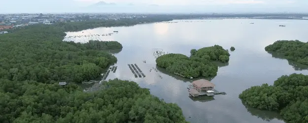 Cover image for How Bali Is Leading the Way in Sustainable Travel & Tourism