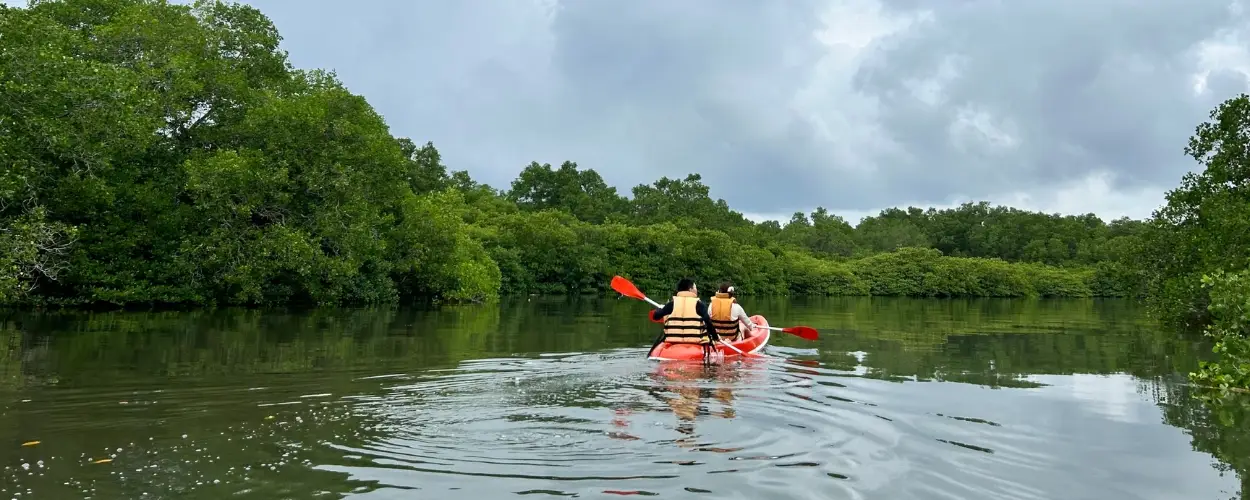 Cover image for How Sustainable Travel Enriches Your Experience