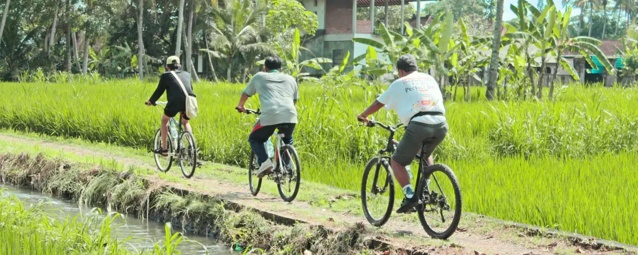 Cover image for The Best Eco-Friendly Activities to Try in Bali (That Actually Make a Difference)
