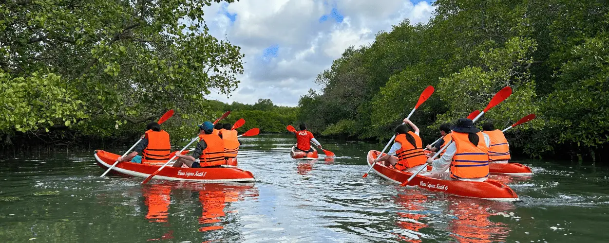 Cover image for Bali Mangrove Group Trips: Explore Nature, Learning, and Sustainability Together