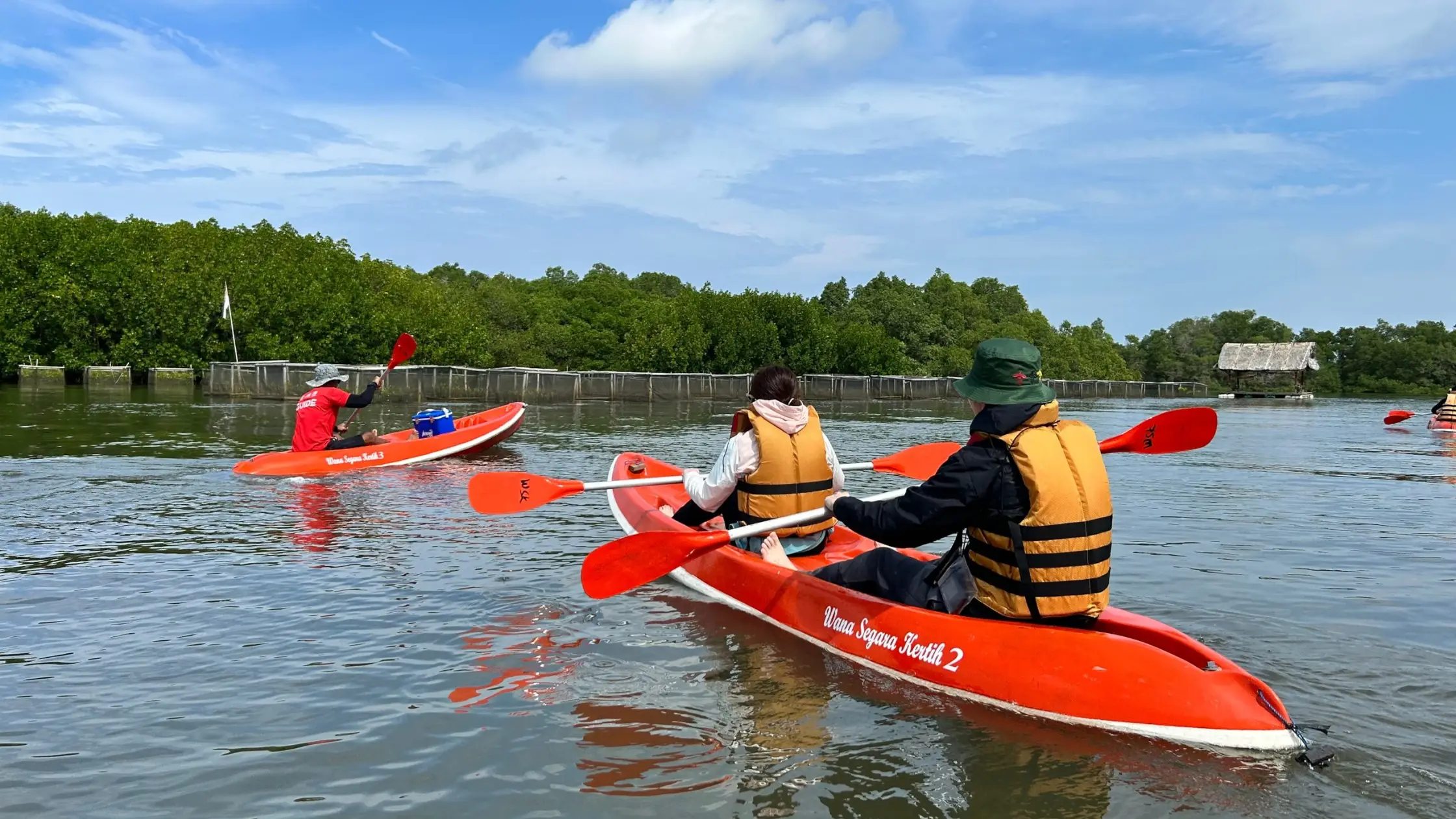 Tourists canoeing in Bali mangrove forest with red kayaks