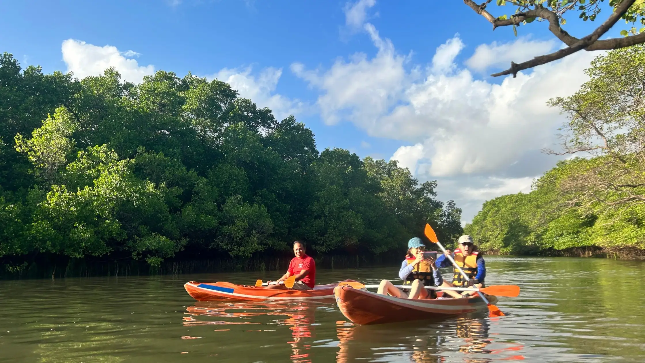 Small group paddling through Bali mangrove forest