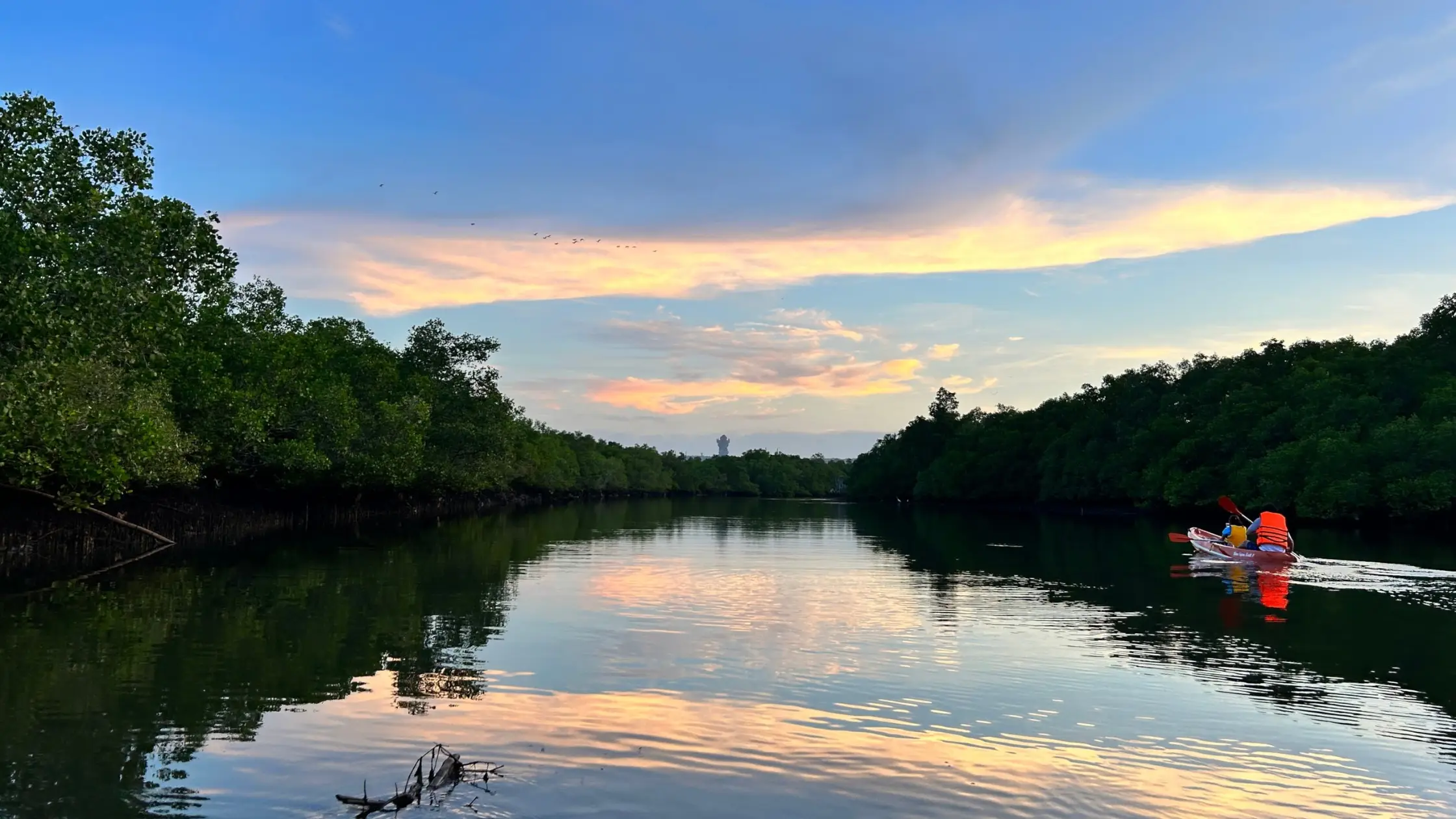Kayaking during sunset in Bali mangrove forest