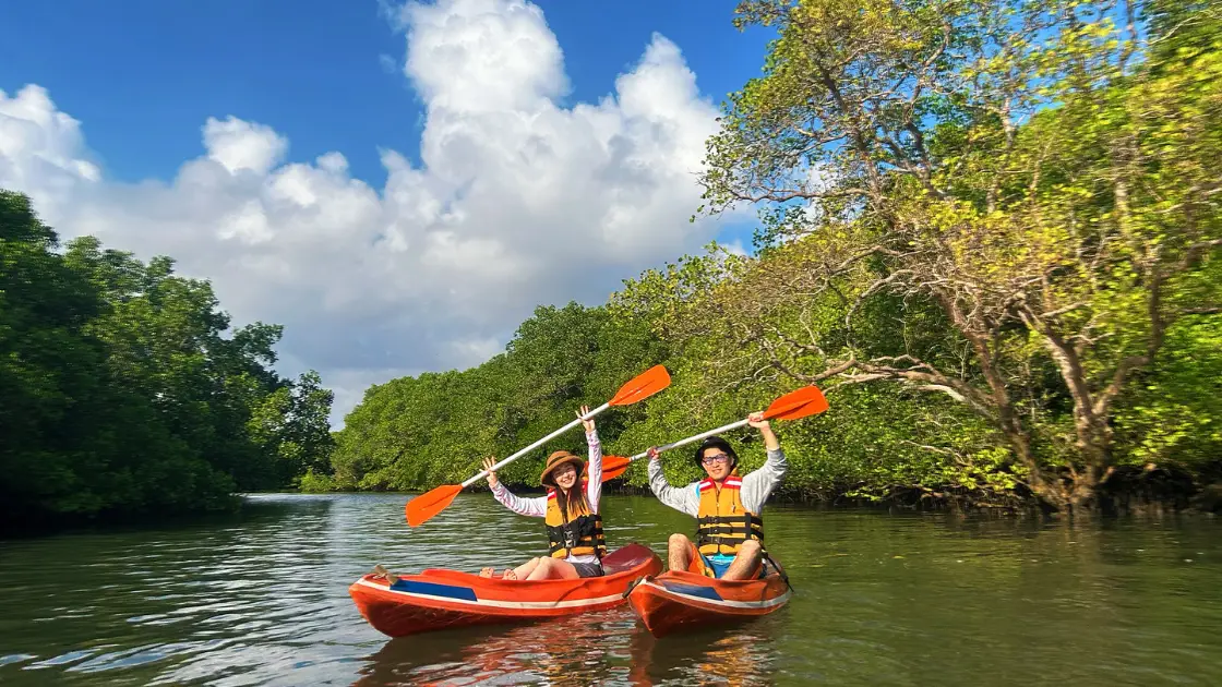 Happy tourists kayaking in mangrove forest with paddles raised