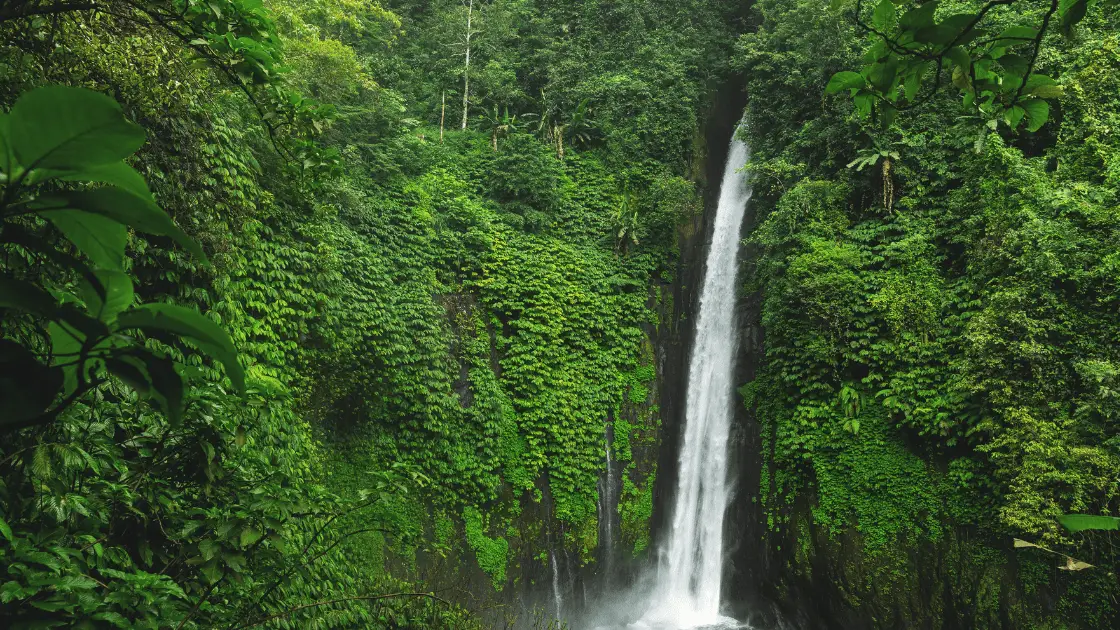 Beautiful and powerful Air Terjun Munduk waterfall. Bali island, Indonesia.