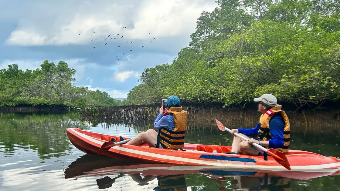 a couple of travelers are canoeing while birdwatching in the mangrove forest of Bali