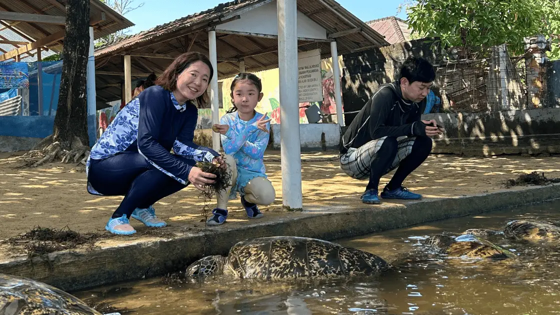 野生動物保護活動でウミガメを放流する子供