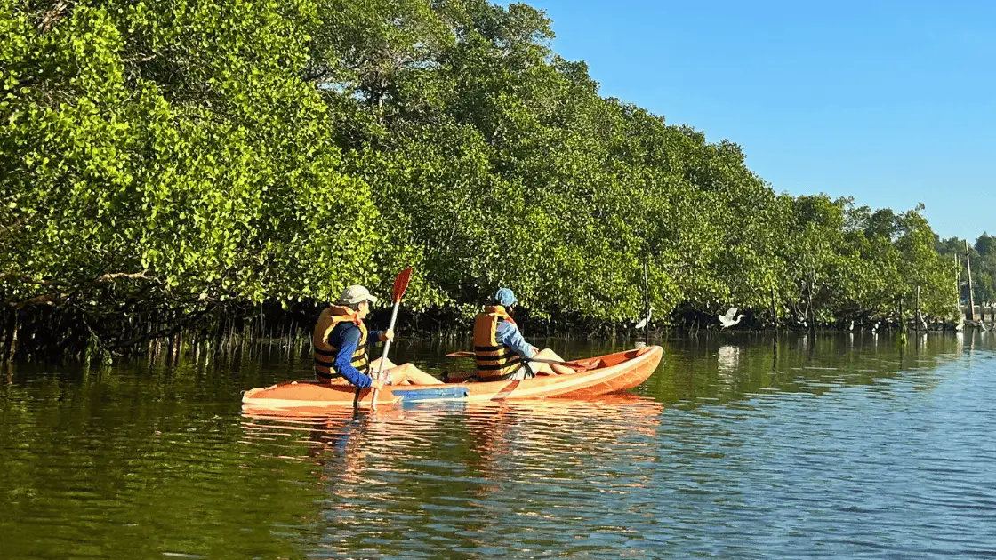 Visitors enjoying bali canoeing tours in mangroves while practicing responsible and eco friendly travel