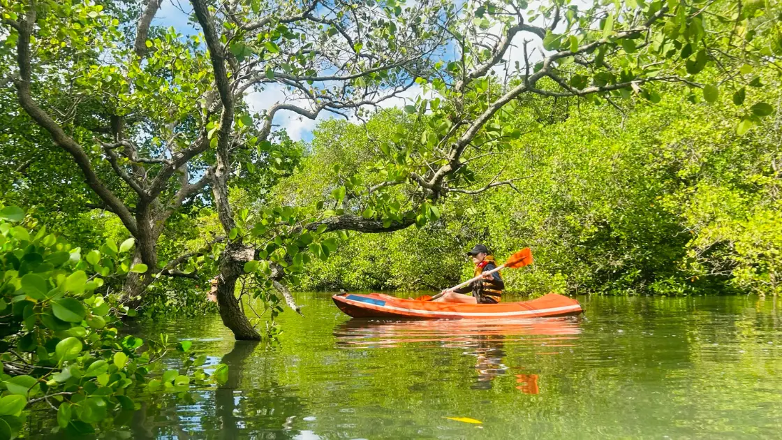 Traveler enjoying a guided mangrove canoe tour in Bali with Bali Mangrove Adventure