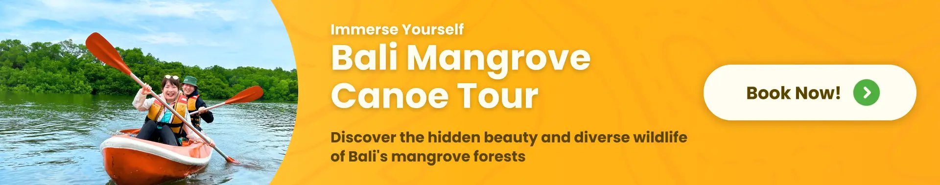 mangrove canoe tour