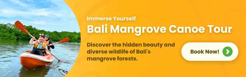 mangrove canoe tour